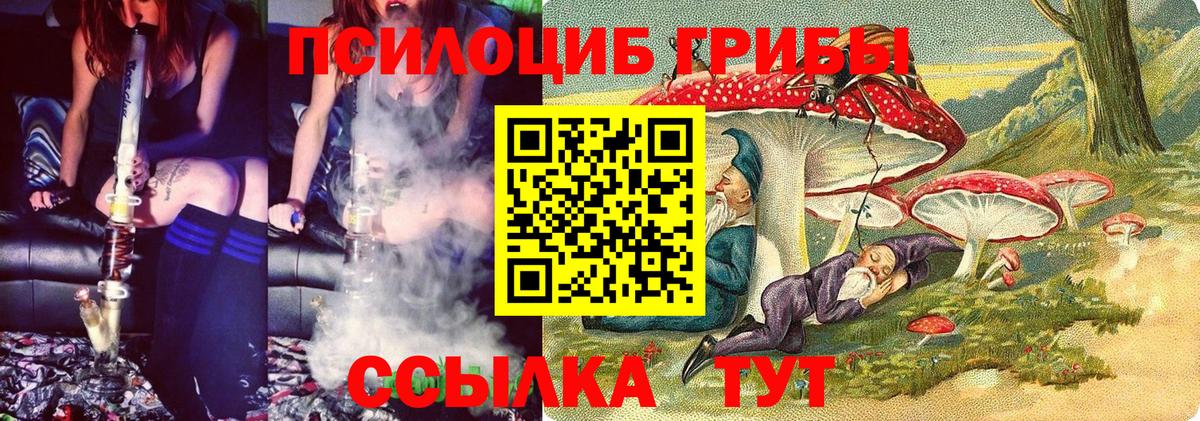 Псилоцибиновые грибы GOLDEN TEACHER Бирск